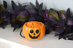Scentsicles Pumpkin Scentfetti Warmer