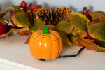 Scentsicles Pumpkin Scentfetti Warmer
