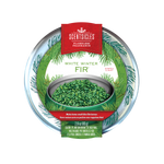 Scentsicles Flameless Fragrance, White Winter Fir, Frangrance-Infused Recyclable Paper Ribbons, Decorative Tin