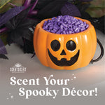 Scentsicles Pumpkin Scentfetti Warmer