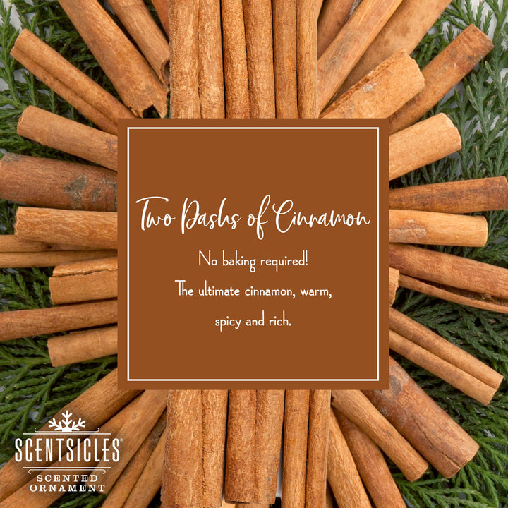 Scented Ornaments, 6ct Bottle, 2 Dashes of Cinnamon, Fragrance-Infused Paper Sticks