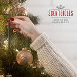 Scentsicles Scented Ornaments, 6ct Bottle, Christmas Berry Sticks
