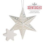 Scentsicles Scented Decorative Ornament, White Winter Fir, Metal White Star, Refillable with Star-Shaped Scents, Refills Sold Separately