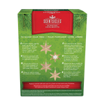 Scentsicles Scented Decorative Ornament, White Winter Fir, Metal Gold Star, Refillable with Star-Shaped Scents, Refills Sold Separately