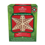 Scentsicles Scented Decorative Ornament, White Winter Fir, Metal Gold Star, Refillable with Star-Shaped Scents, Refills Sold Separately
