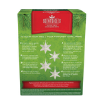 Scentsicles Scented Decorative Ornament, White Winter Fir, Metal White Star, Refillable with Star-Shaped Scents, Refills Sold Separately