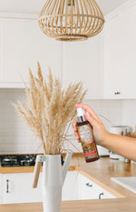 Scentsicles Scent Mister Scented Spray, Spiced Pine Cones, 4oz