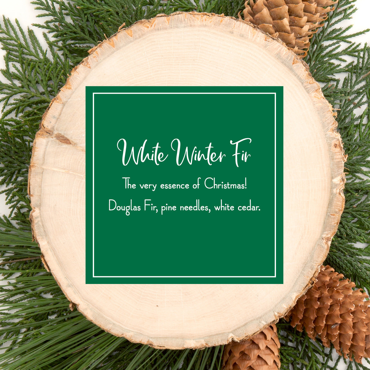 White Winter Fir – Scentsicles