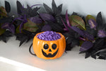Scentsicles Pumpkin Scentfetti Warmer