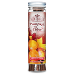 Scentsicles Scented Ornament Sticks, Pumpkin 'n Cider, 6ct Bottle