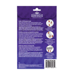 Scentsicles Gingerbread Dreams Hangers 3ct Pack