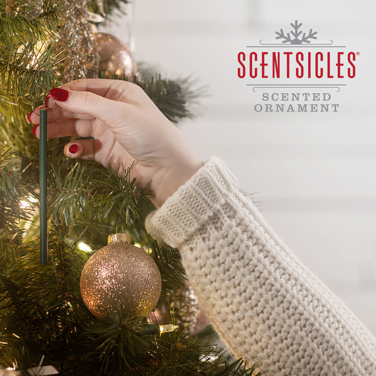 Scentsicles Scented Ornaments, 6ct Bottle, Christmas Berry Sticks