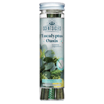 Scentsicles, Scented Ornament Sticks, Eucalyptus Oasis, 6pc Bottle