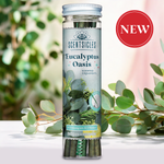 Scentsicles, Scented Ornament Sticks, Eucalyptus Oasis, 6pc Bottle