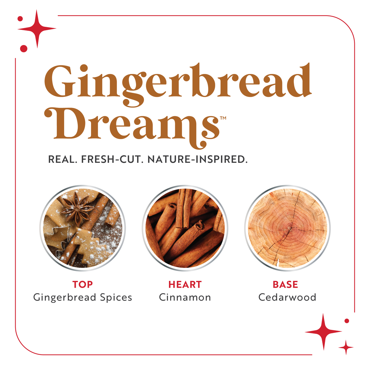 Scentsicles Scented Ornament Sticks, Gingerbread Dreams, 6ct Bottle