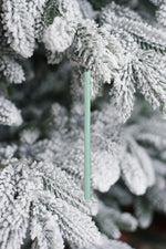 Scentsicles Scented Ornament Sticks, Icicles on Spruce, 6ct Bottle